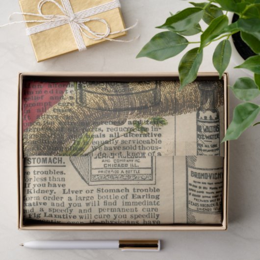 グレーのオウムのヴィンテージカタログの切り離し 薄葉紙 (ギフト)