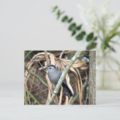 グレーのキャットバードポストカード ポストカード (スタンド正面)