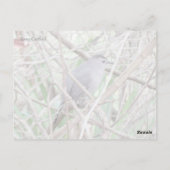 グレーのキャットバードポストカード ポストカード (裏面)