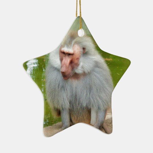 グレーのサル、猿のマカク、自然、動物の野生動物 セラミックオーナメント (右)