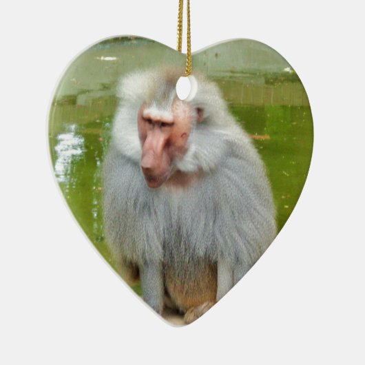 グレーのサル、猿のマカク、自然、動物の野生動物 セラミックオーナメント (右)