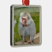 グレーのサル、猿のマカク、自然、動物の野生動物 メタルオーナメント (右)