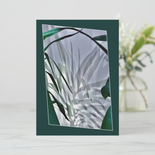 グレーのシャドウ 招待状 (スタンド正面)