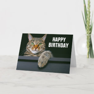 グレーのタビー猫の顔 誕生日おめでとう カード