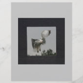 グレーのフォトフレーム上の黒い四角 (裏面)