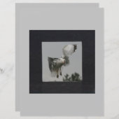 グレーのフォトフレーム上の黒い四角 (正面/裏面)