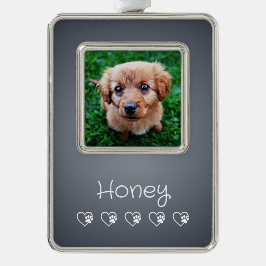 グレーのペット写真オーナメント - フレーム, ペットの肖像 シルバープレートフレームオーナメント (正面)