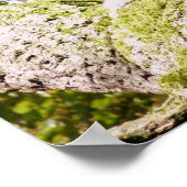 グレーのリスを見つけて ポスター (角)