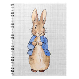 グレーのリネンの背景を持つピーター ノートブック