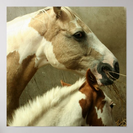 グレーの伝馬のポスター ポスター (正面)