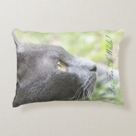 グレーの子ネコ アクセントクッション