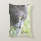 グレーの子ネコ アクセントクッション (正面(垂直))
