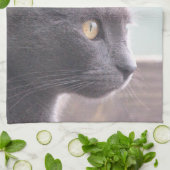 グレーの子ネコ キッチンタオル (折り畳み)