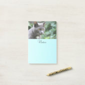 グレーの子ネコ ポストイット (デスク上)