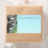 グレーの子ネコ ラベル (インサイチュ)