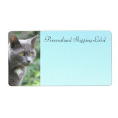 グレーの子ネコ ラベル (正面)