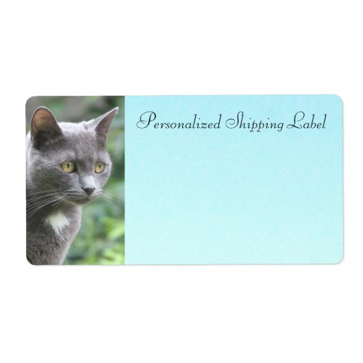 グレーの子ネコ ラベル (正面)