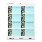 グレーの子ネコ ラベル (フルシート)