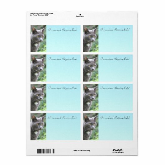 グレーの子ネコ ラベル (フルシート)