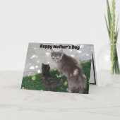 グレーの母猫と黒猫が母の日を楽しむ カード (正面)