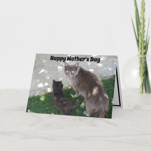 グレーの母猫と黒猫が母の日を楽しむ カード (正面)