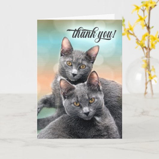 グレーの猫たち2匹ありがとう カード (黄色い花)