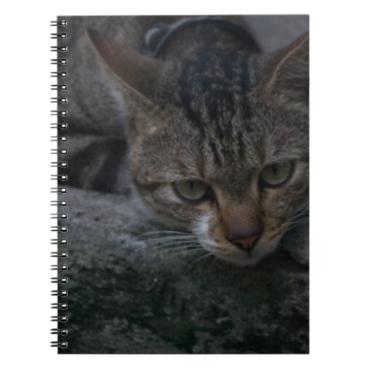 グレーの猫の外観 ノートブック (正面)