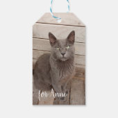 グレーの猫写真 ギフトタグ (裏面)
