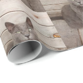 グレーの猫写真 ラッピングペーパー (ロールコーナー)