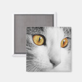 グレーの白い猫 マグネット (正面/裏面)