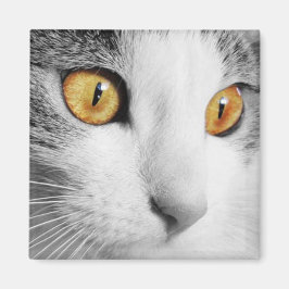 グレーの白い猫 マグネット