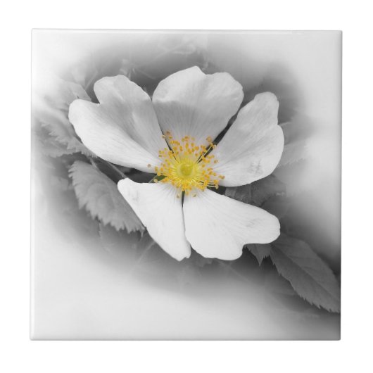 グレーの色合いの黄色 タイル (正面)