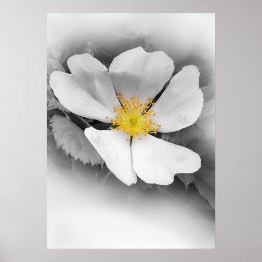 グレーの色合いの黄色 ポスター (正面)