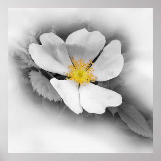 グレーの色合いの黄色 ポスター (正面)