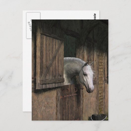 グレーの馬と安定したドアのはがき ポストカード (正面/裏面)
