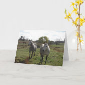 グレーの馬 カード (黄色い花)