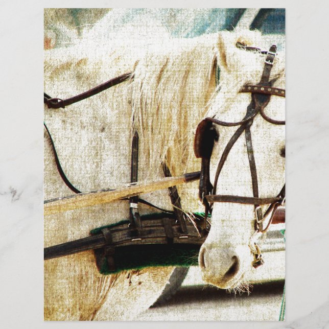 グレーアミッシュ乳母車ホース (正面)