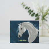 グレーアラビアホース葉書 ポストカード (スタンド正面)
