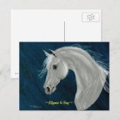 グレーアラビアホース葉書 ポストカード (正面/裏面)