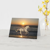 グレーアンダルシアランニングンズオンビーチバイシー カード (黄色い花)