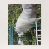 グレーアンダルチアンスタリオンルッキング鏡 ジグソーパズル (縦)