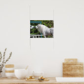 グレーアンダルチアンスタリオンルッキング鏡 ポスター (キッチン)