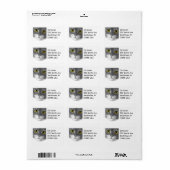 グレーアンドホワイト子猫顔住所 シール (フルシート)