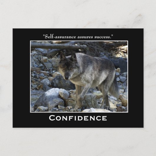 グレーウルフやる気を起こさせるポストカード ポストカード (正面)