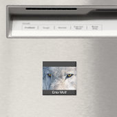 グレーウルフアイズワイルドライフコレクション マグネット (インサイチュ (食洗機))