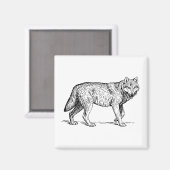 グレーウルフエレガントインクスケッチ マグネット (正面/裏面)