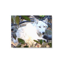 グレーウルフキャンバス