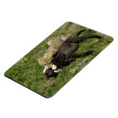 グレーウルフパップスワイルドライフマグネット マグネット (左側)