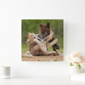 グレーウルフパップレスリング スクエア壁時計 (ホーム)