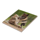 グレーウルフパップレスリング タイル (側面)